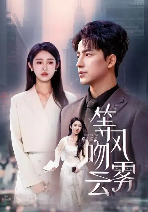 热播电视剧全集《暮色回声》高清剧照