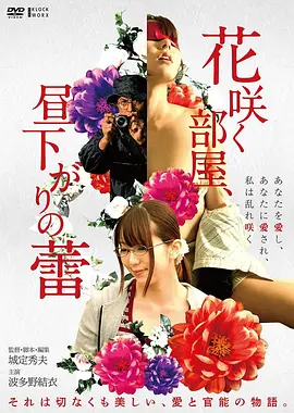高清电影《沉默的风暴》海报